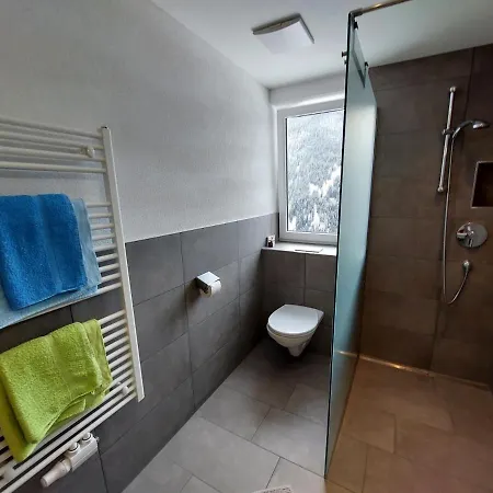 Apartment Sunnseita Paznaun